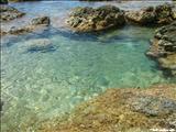 Playa el Gallito - VIEQUES